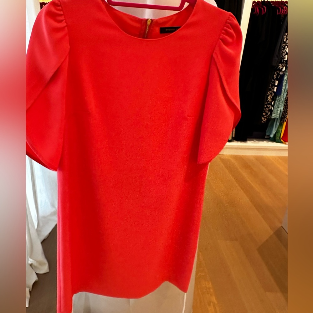 Cynthia Steffe dress